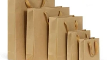 paper-carry-bag-250x250