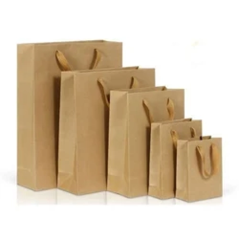 paper-carry-bag-250x250