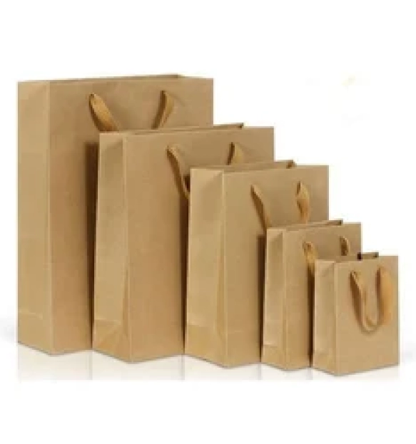 paper-carry-bag-250x250